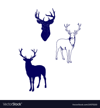 Animal icons set outline set of 25 animal icons vector image Animal icons set outline set of 25 animal icons vector image