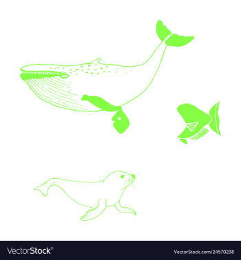 Animal icons set outline set of 25 animal icons vector image Animal icons set outline set of 25 animal icons vector image