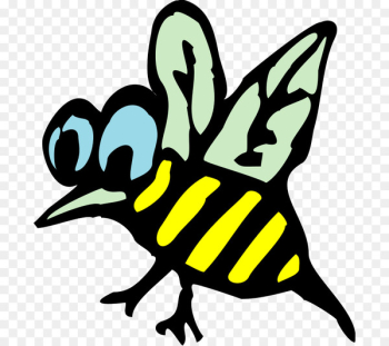 Animal Illustrations Educational Flash Cards Clip art Insect - insect 