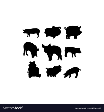 animal pig cute collection silhouette set design