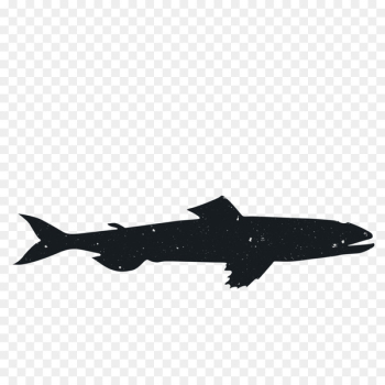 Animal Silhouette Black Airplane Marine mammal - Animal Silhouettes 