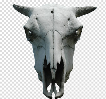 Animal Skulls Bone, watercolor animals transparent background PNG clipart