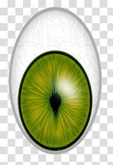 Animals eyes, human eye transparent background PNG clipart Animals eyes, human eye transparent background PNG clipart