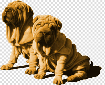 Animals s, two Shar-Pei puppies transparent background PNG clipart