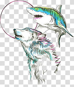 ANIMALS, shark and wolf transparent background PNG clipart