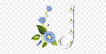 Animated Alphabet Blooms Flowers Page Twenty Eight - Morning Glory Illustration Animated Alphabet Blooms Flowers Page Twenty Eight - Morning Glory Illustration
