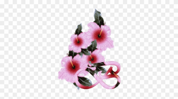Animated Alphabet Blooms Flowers Page Twenty Nine - Alphabet Animated Flower O Gif Animated Alphabet Blooms Flowers Page Twenty Nine - Alphabet Animated Flower O Gif
