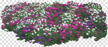 Animation , bushes transparent background PNG clipart