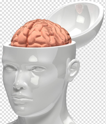 Animation Drawing , Brain transparent background PNG clipart Animation Drawing , Brain transparent background PNG clipart