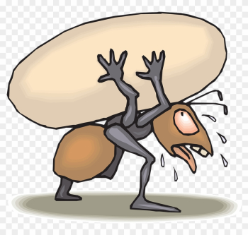 Ant Carrying Food Cartoon Ant Carrying Food Cartoon