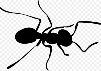 ant insect pest membrane-winged insect cartoon ant insect pest membrane-winged insect cartoon