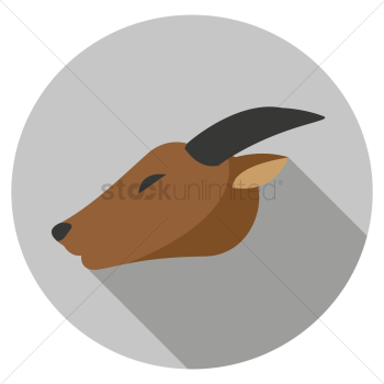 Antelope Antelope