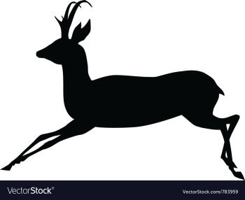 Antelope vector image Antelope vector image
