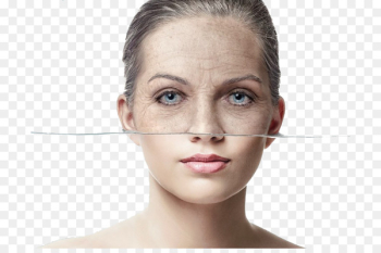 Anti-aging cream Wrinkle Face Ageless - Women young and old face Comparison 