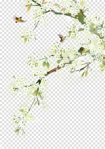 Antiquity beautiful watercolor illustration transparent background PNG clipart