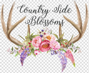 Antler Deer Horn Watercolor painting, deer transparent background PNG clipart Antler Deer Horn Watercolor painting, deer transparent background PNG clipart
