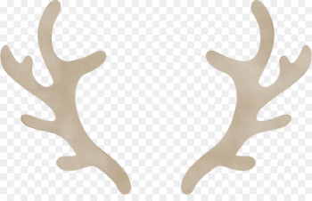 antler horn deer elk natural material antler horn deer elk natural material