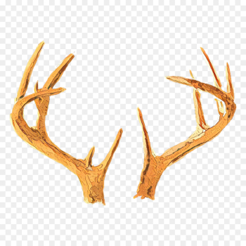 antler horn elk deer fawn antler horn elk deer fawn