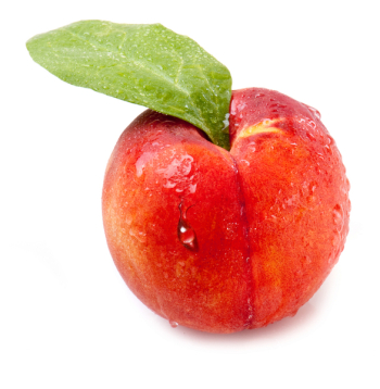apple apple