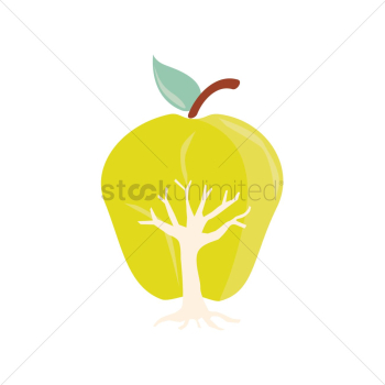 Apple Apple
