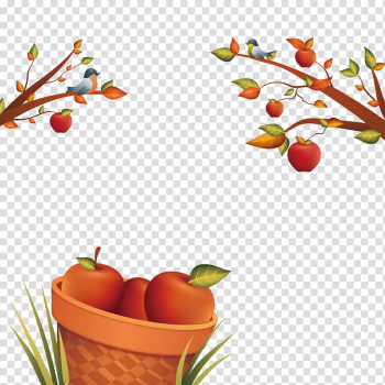 Apple, apple harvest transparent background PNG clipart