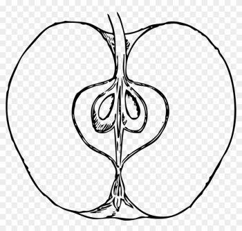 Apple Black And White Apple Clip Art Black And White - Apple Cut In Half Drawing Apple Black And White Apple Clip Art Black And White - Apple Cut In Half Drawing