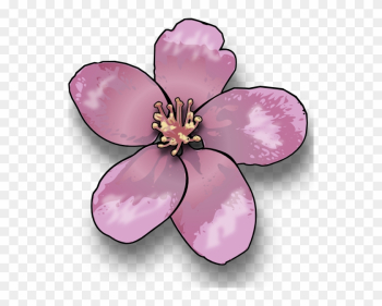 Apple Blossom Clip Art - Flower Of A Tree Clipart Apple Blossom Clip Art - Flower Of A Tree Clipart