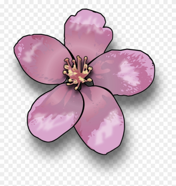 Apple Blossom - Flower Of A Tree Clipart Apple Blossom - Flower Of A Tree Clipart