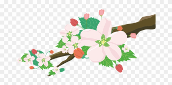 Apple, Blossoms, Flowers, Nature - Apple, Blossoms, Flowers, Nature Apple, Blossoms, Flowers, Nature - Apple, Blossoms, Flowers, Nature