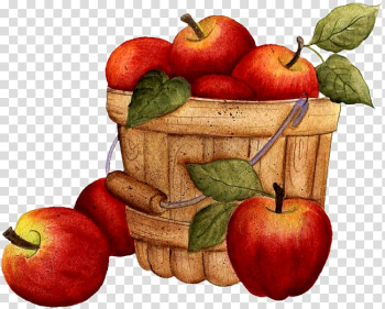 Apple cider Autumn , autumn transparent background PNG clipart Apple cider Autumn , autumn transparent background PNG clipart