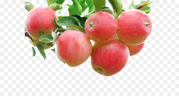 Apple Crumble Fruit Gala Auglis - Bright red apple Apple Crumble Fruit Gala Auglis - Bright red apple