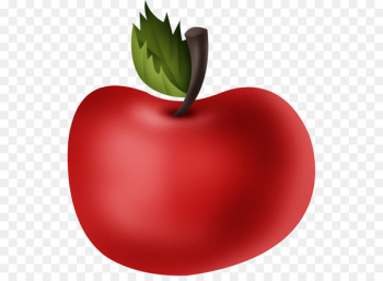 Apple Drawing Image Tomato Computer - apple Apple Drawing Image Tomato Computer - apple