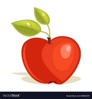apple fruit apple fruit