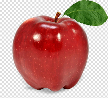 Apple Fruit, apple transparent background PNG clipart Apple Fruit, apple transparent background PNG clipart