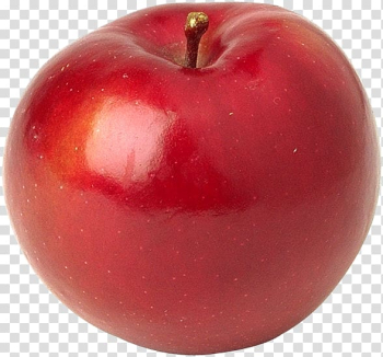 Apple Fruit tree Orchard Citrus, red plums transparent background PNG clipart Apple Fruit tree Orchard Citrus, red plums transparent background PNG clipart