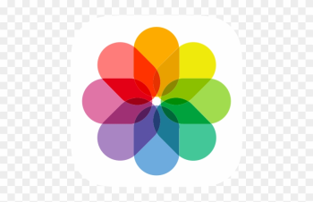 Apple, Gallery, Art, Photo, Photograph, Photography, - Ios 11 Gallery Icon Png Apple, Gallery, Art, Photo, Photograph, Photography, - Ios 11 Gallery Icon Png