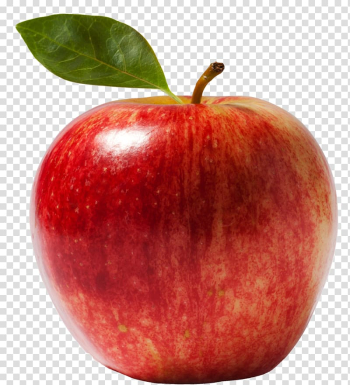 Apple iPhone, apple fruit transparent background PNG clipart Apple iPhone, apple fruit transparent background PNG clipart
