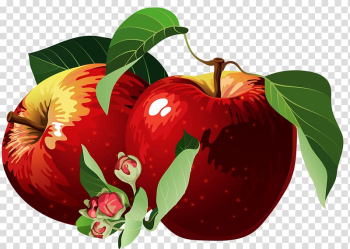 Apple Red, Hand-painted red apple transparent background PNG clipart Apple Red, Hand-painted red apple transparent background PNG clipart