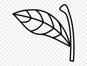 Apple Stem And Leaf Apple Stem And Leaf