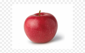 Apple The Food Apple The Food