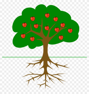 Apple Tree Clipart Apple Tree With Roots Clip Art At - Tree Clip Art