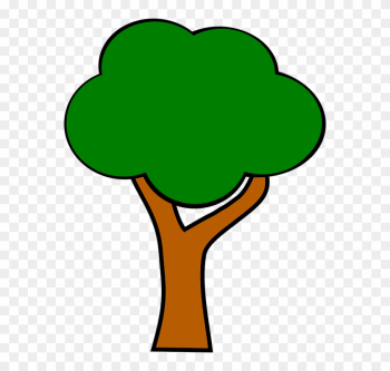 Apple Tree Without Apples Apple Tree Without Apples