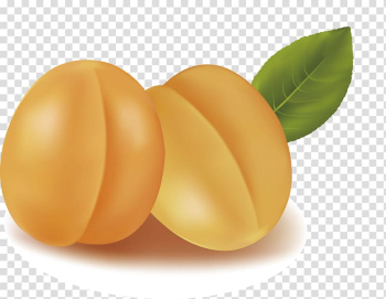 Apricot Android, Apricot fruit material transparent background PNG clipart Apricot Android, Apricot fruit material transparent background PNG clipart