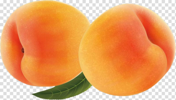 Apricot Food Fruit, apricot transparent background PNG clipart Apricot Food Fruit, apricot transparent background PNG clipart