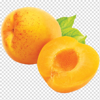 Apricot Fruit, Apricot transparent background PNG clipart Apricot Fruit, Apricot transparent background PNG clipart