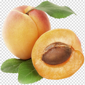 Apricot Fruit , Apricot transparent background PNG clipart Apricot Fruit , Apricot transparent background PNG clipart