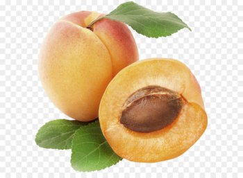 Apricot Fruit Clip art - Apricot PNG Clipart Picture Apricot Fruit Clip art - Apricot PNG Clipart Picture