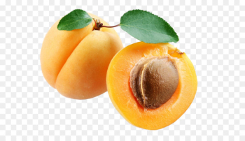 Apricot, Fruit, Computer Icons, Food PNG Apricot, Fruit, Computer Icons, Food PNG
