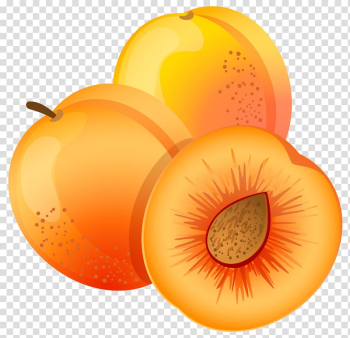 Apricot Fruit Peach , Apricot transparent background PNG clipart Apricot Fruit Peach , Apricot transparent background PNG clipart