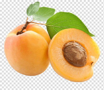 Apricot kernel Apricot oil Amygdalin, apricot transparent background PNG clipart Apricot kernel Apricot oil Amygdalin, apricot transparent background PNG clipart